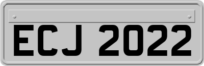 ECJ2022