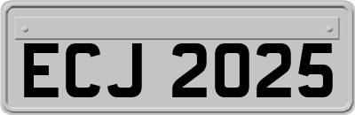 ECJ2025