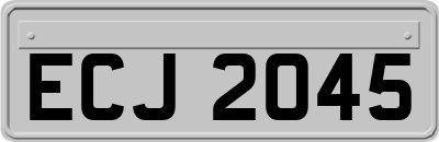 ECJ2045