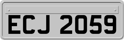 ECJ2059