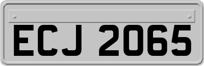 ECJ2065