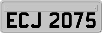 ECJ2075