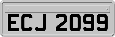 ECJ2099