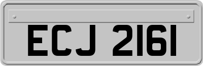 ECJ2161