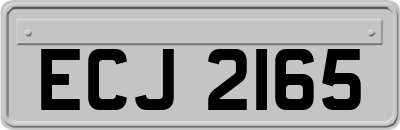 ECJ2165