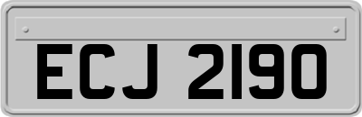 ECJ2190