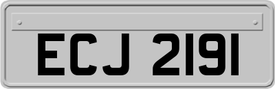 ECJ2191