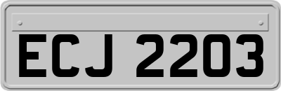 ECJ2203