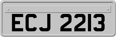 ECJ2213