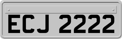 ECJ2222