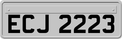 ECJ2223