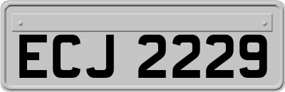 ECJ2229