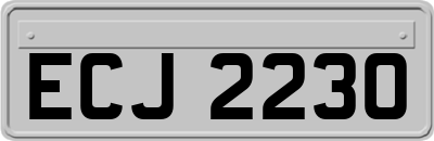 ECJ2230