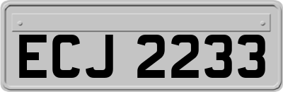 ECJ2233