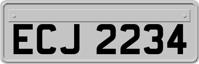 ECJ2234
