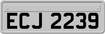 ECJ2239