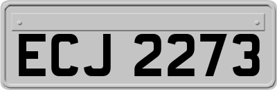 ECJ2273