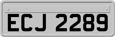 ECJ2289
