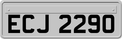 ECJ2290