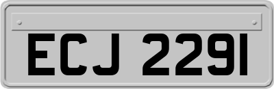 ECJ2291