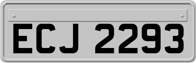 ECJ2293