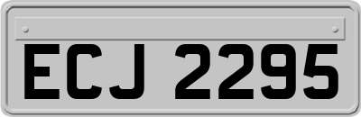 ECJ2295
