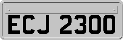 ECJ2300