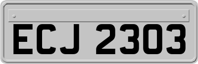 ECJ2303