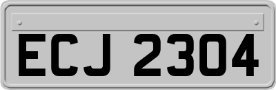 ECJ2304