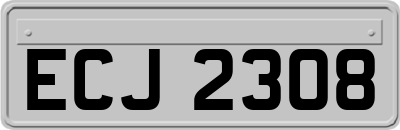 ECJ2308