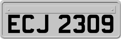 ECJ2309