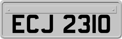 ECJ2310