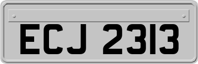 ECJ2313