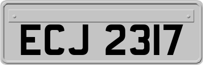 ECJ2317