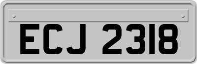 ECJ2318