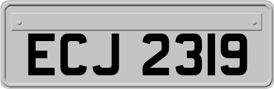ECJ2319
