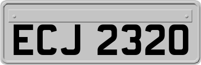 ECJ2320