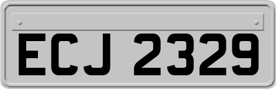 ECJ2329
