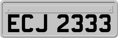 ECJ2333