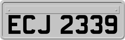 ECJ2339