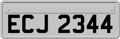 ECJ2344