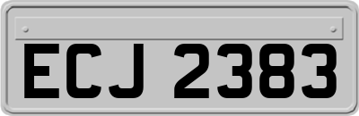 ECJ2383