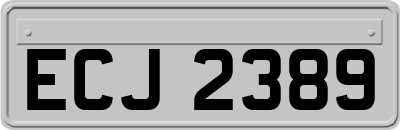 ECJ2389