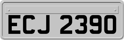 ECJ2390