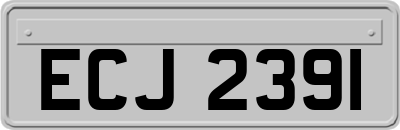 ECJ2391