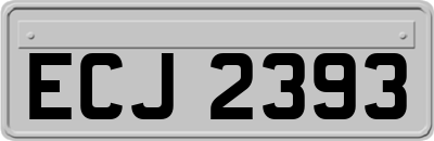 ECJ2393