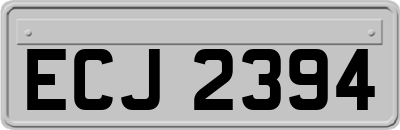 ECJ2394