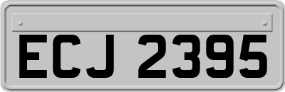 ECJ2395