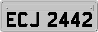 ECJ2442