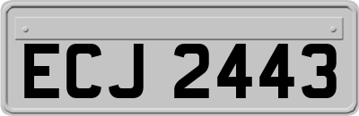ECJ2443